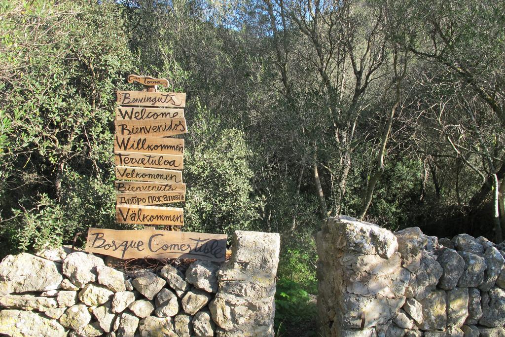 Agroturismo Can Torna Ag178 Еспорлес Екстериор снимка